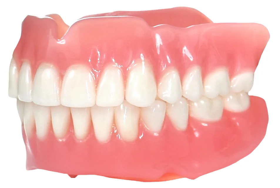 A pair of Lucitone digital print dentures at the IDA bench